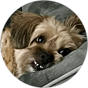 Bob Barkema profile picture